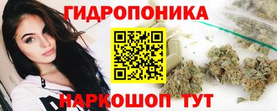 индика Коммунар