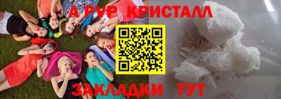 спиды Кингисепп