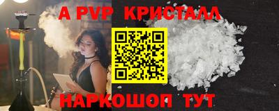 спиды Кингисепп
